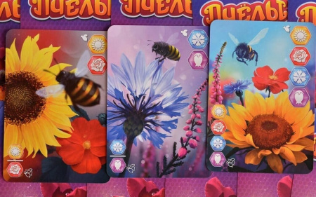 Пчёлы. Тайное королевство