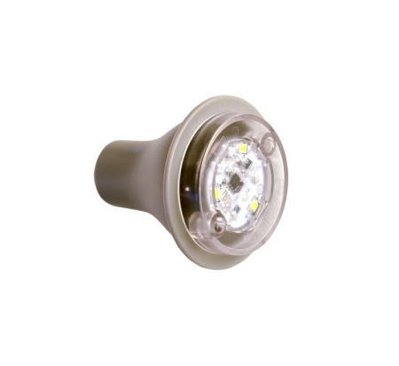 Мыши под крышей