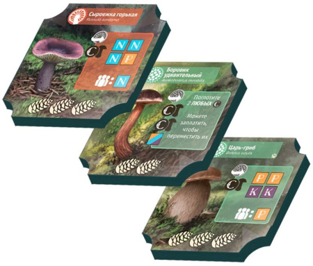 Грибы и корни: Делюкс-издание