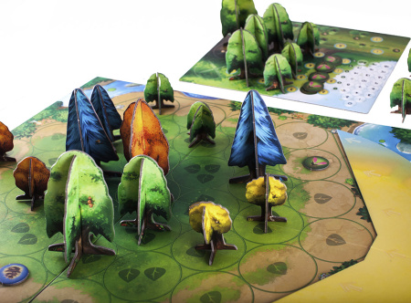 Фотосинтез (Photosynthesis)